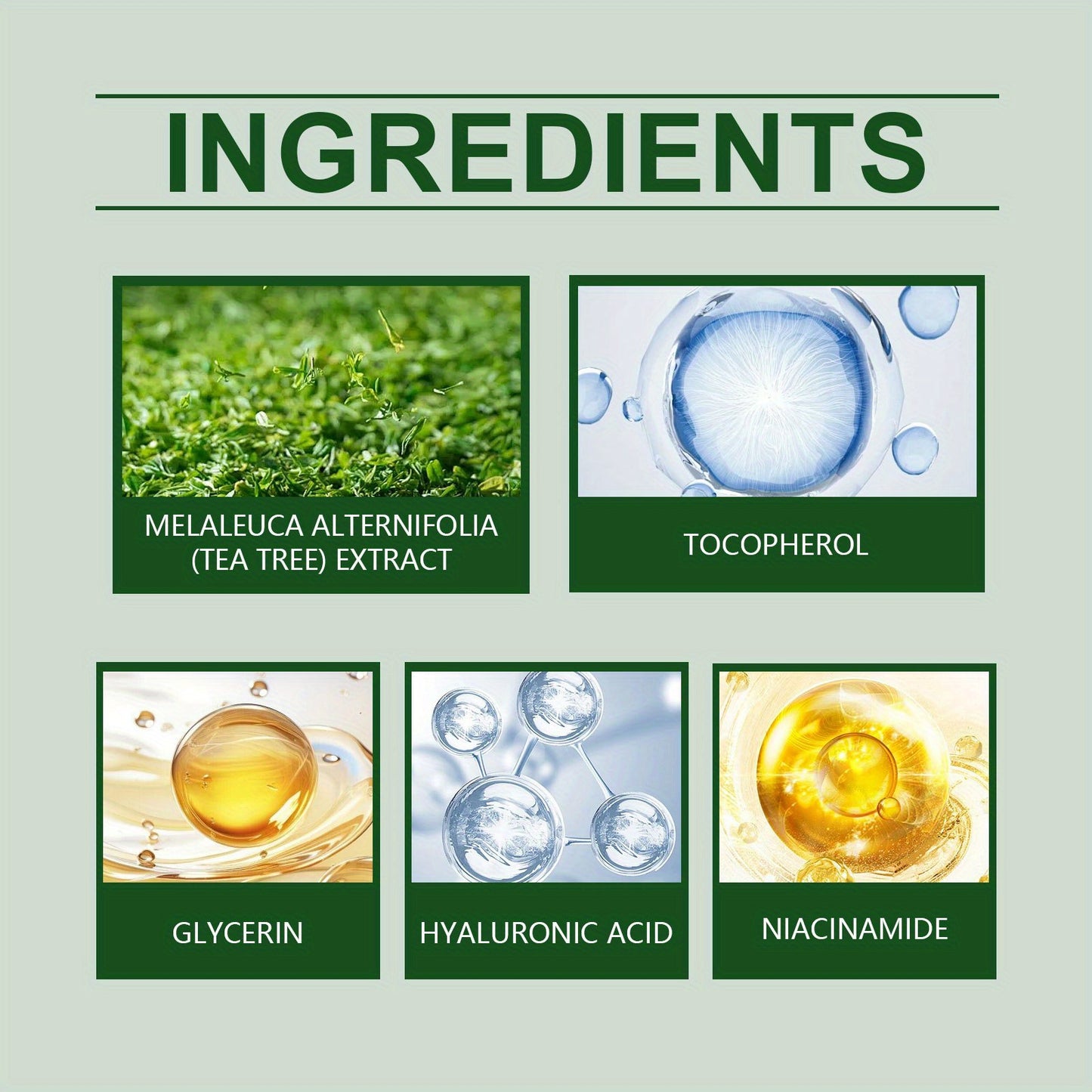 3pcs Green Tea Oil Control Moisturizer 50g Deep Moisturizing Cream